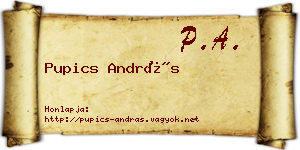 Pupics András névjegykártya